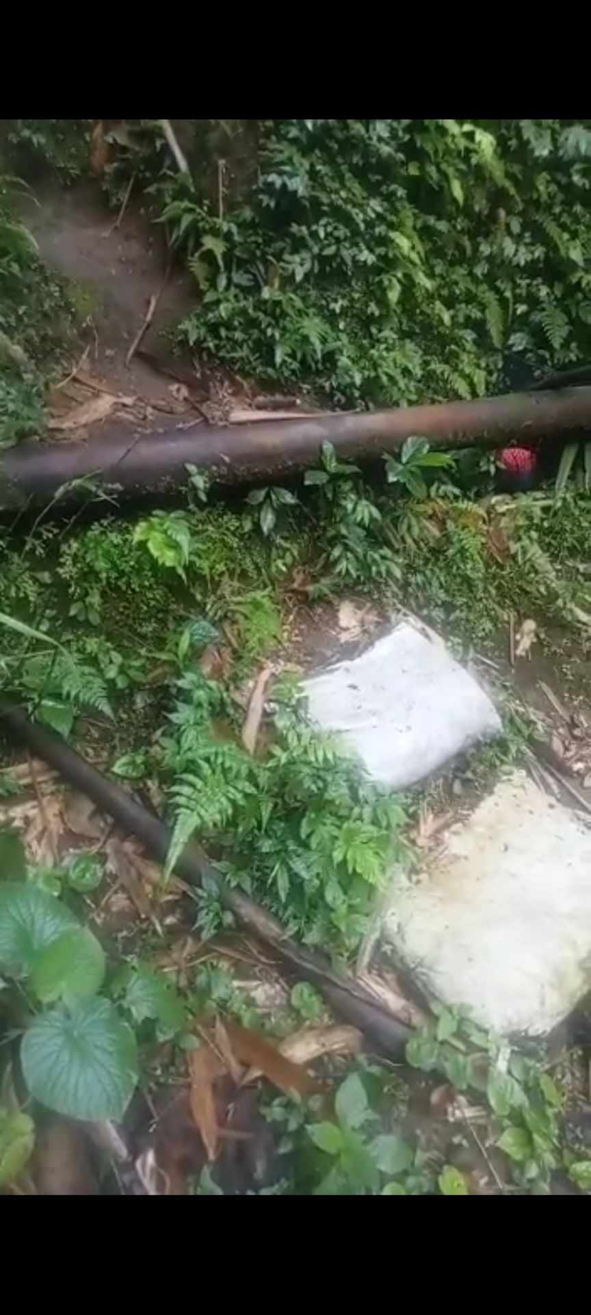 Info berita,Layanan PDAM,Kegiatan PDAM,gangguan layanan pdam,Berita PDAM,PERUMDA AMTS,PERUMDA AMTS Kabupaten Gianyar